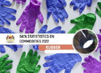 Data_Statististics_Commodities_Rubber_2022.jpg